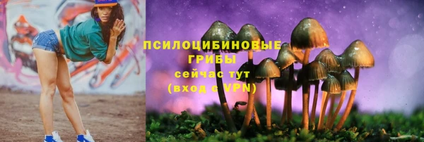 MDMA Аркадак